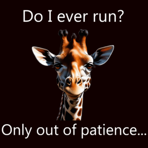 Do I ever run? / Hoodie