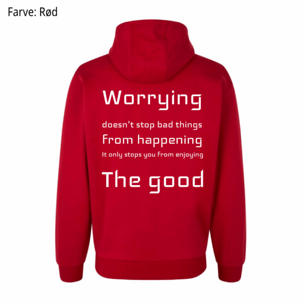 Worrying / Hoodie - Billede 2